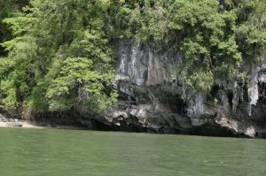 img_1647.jpg