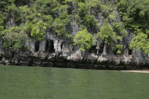 img_1648.jpg