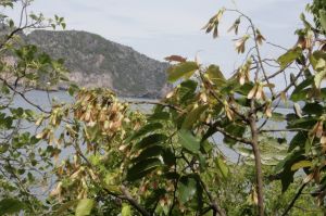 img_1674.jpg