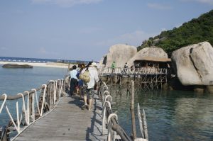 IMG_1362.JPG