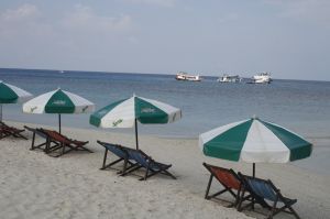 IMG_1383.JPG