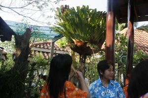 IMG_1453.JPG