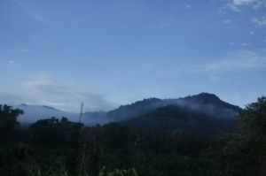 IMG_1503.JPG