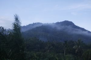 IMG_1505.JPG