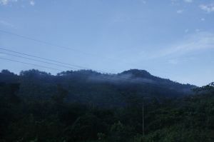 IMG_1507.JPG