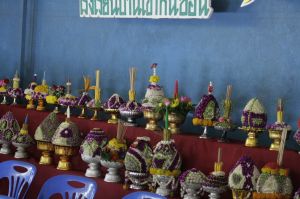 _MG_2764.JPG
