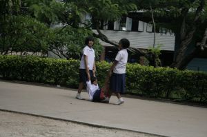 _MG_2765.JPG