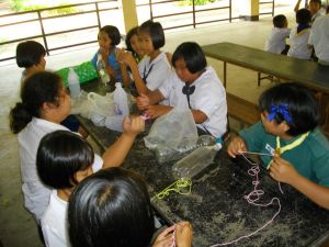 IMGP0816.JPG