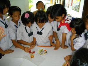 IMGP0917.JPG