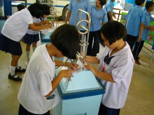 IMGP1391.JPG