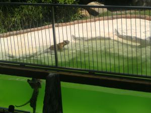 PICT0217.JPG