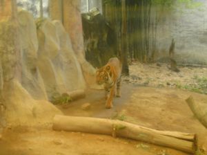 pict0211.jpg