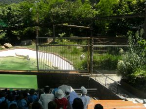 pict0213.jpg