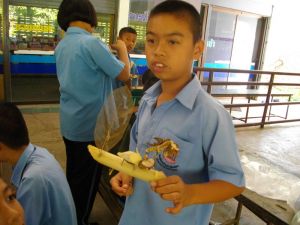 imgp2589.jpg