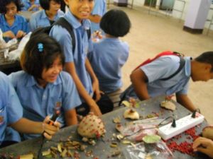 imgp2595.jpg