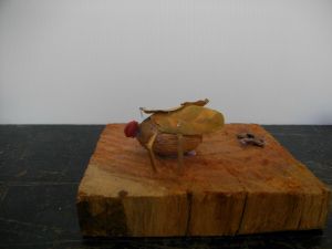 imgp2625.jpg