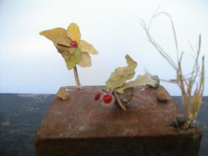 imgp2647.jpg