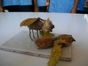 imgp2680.jpg