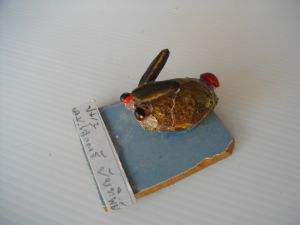 imgp2698.jpg