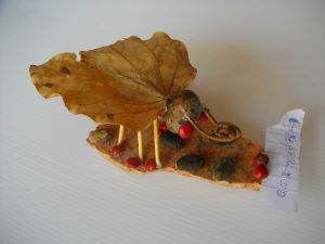 imgp2713.jpg