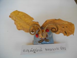 imgp2760.jpg