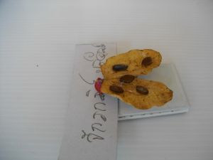 imgp2767.jpg