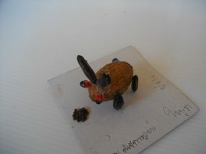 imgp2772.jpg