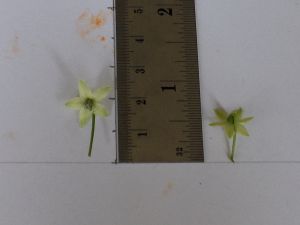HPIM0513.jpg