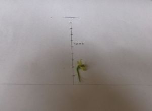 HPIM0519.JPG