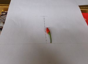 hpim0520.jpg