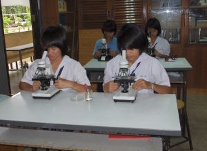 hpim0530.jpg