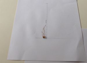 hpim0533.jpg