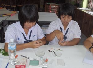 hpim0539.jpg
