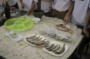 _mg_2929.jpg