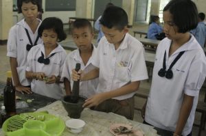 _mg_2930.jpg