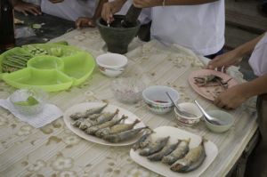 _mg_2932.jpg