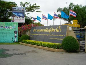 imgp1127.jpg
