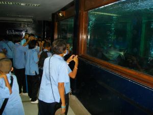 imgp1148.jpg