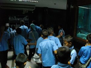 imgp1150.jpg