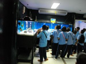 imgp1151.jpg