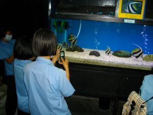 imgp1155.jpg