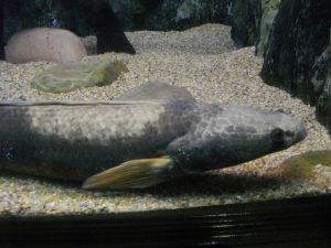 imgp1176.jpg