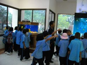 imgp1204.jpg