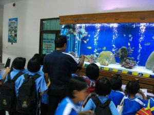 imgp1208.jpg