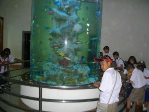 imgp1209.jpg
