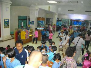 imgp1210.jpg