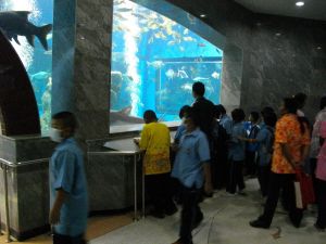 imgp1214.jpg