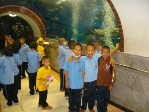imgp1215.jpg