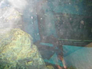 imgp1219.jpg