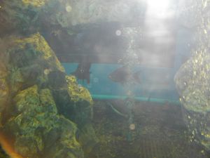 imgp1220.jpg